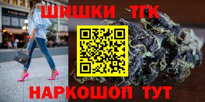 тгк Новодвинск