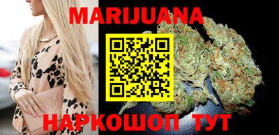 тгк Новодвинск