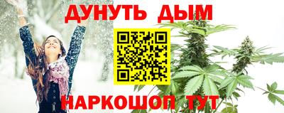 ПСИЛОЦИБИНОВЫЕ ГРИБЫ Новозыбков