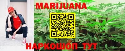 тгк Новодвинск