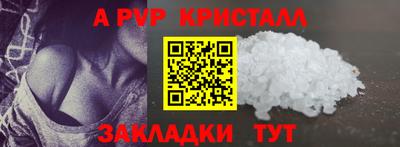 тгк Новодвинск