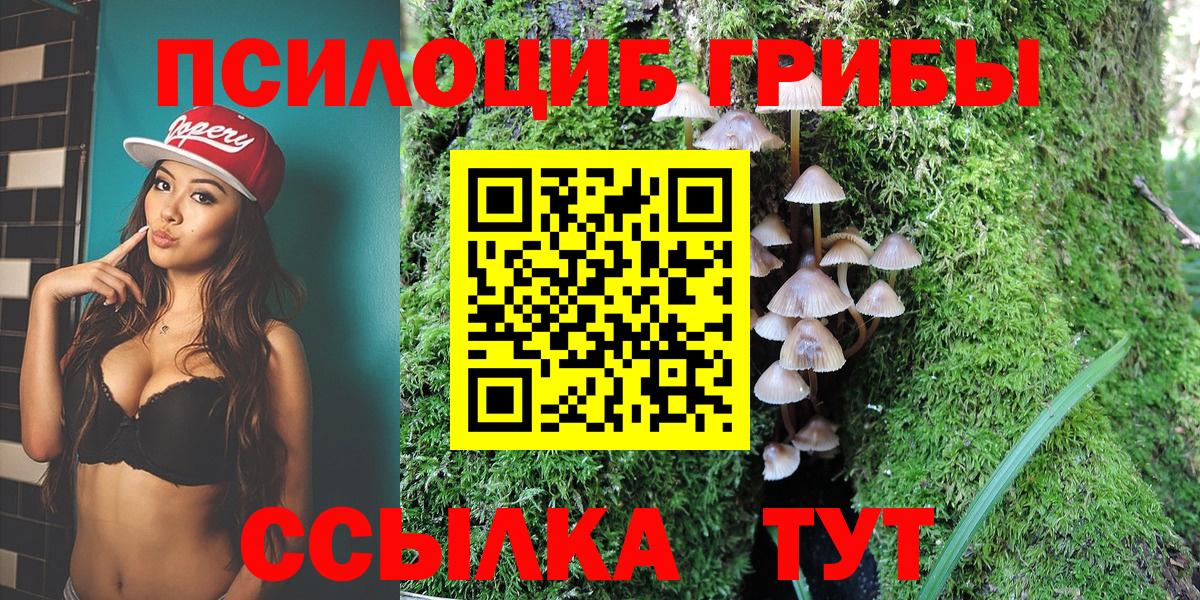 Псилоцибиновые грибы Magic Shrooms  Галлюциногенные грибы мицелий  Шелехов  Вход с VPN 